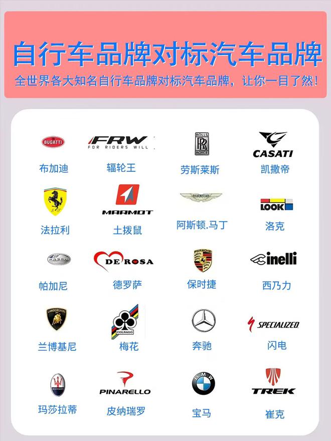 品牌TOP10对比辐轮王土拨鼠第一名尊龙凯时新版APP2025汽车自行车(图5)