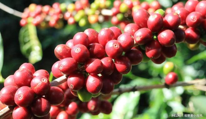 国人终于明白中方等待的时机已经来了尊龙凯时网站特朗普出面求情都没用美(图2) 国人终于明白中方等待的时机已经来了尊龙凯时网站特朗普出面求情都没用美(图2)