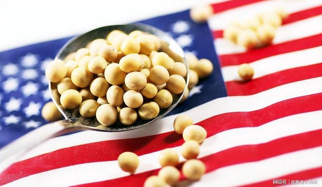 国人终于明白中方等待的时机已经来了尊龙凯时网站特朗普出面求情都没用美(图4) 国人终于明白中方等待的时机已经来了尊龙凯时网站特朗普出面求情都没用美(图4)